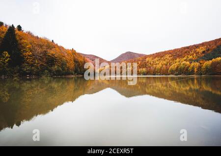 Paysage paisible de lac calme entouré d'orangers de Forêt d'Irati à Navarre Banque D'Images