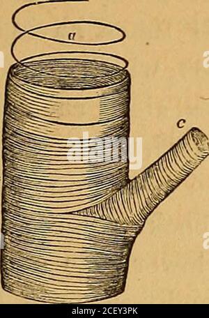 . Les parasites externes et internes [de l'homme et] des animaux domestiques. PARASITES OP ANIMAUX. Figure 3. le déplacement latéral, qui apparaissent d'abord sous la forme de petits sacs contenant du liquide, mais finalement ex-pand en larges membranes et le déplacement latéral du sac s'unissent de manière à ressembler à une membrane asimple, soutenue par des littlebifurcation, des tiges creuses, ou tubes, qui communiquent avec la cavité du corps, et forment également les joints des ailes. Thelegs et les mâchoires proviennent de la partie inférieure des côtés de chaque anneau qui porte des suchappendages, de sorte qu'il doit y avoir autant d'anneaux ou segmentsin n'importe quelle partie du corps qu'il a Banque D'Images