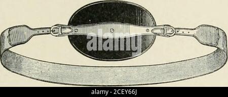 . Hernie abdominale : son diagnostic et son traitement. 12. Ceinture Combinalion et coussin ombilical avec ressorts à l'extérieur de la ceinture. TRAITEMENT MÉCANIQUE : OMBILICAL. 365 Groupe de truses ombilicales adultes {suite),. 13. Coussinet en caoutchouc extra dur, élastique et main à utiliser en combinaison avec la ceinture abdominale. Banque D'Images