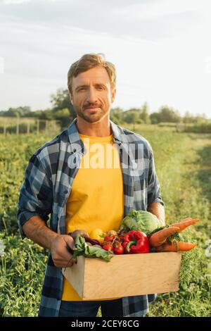 fermier en chemise à carreaux regardant l'appareil photo tout en tenant la boîte avec des légumes frais et mûrs Banque D'Images