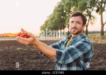 farmer dans une chemise à carreaux regardant l'appareil photo tout en tenant mûr tomates cerises en rondelles Banque D'Images