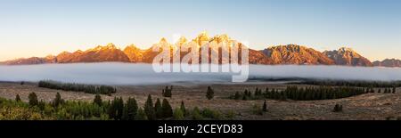 Une vue panoramique sur les montagnes de Teton en or tôt Lumière du matin avec brouillard en dessous d'eux dans Grand Teton National Stationnement Banque D'Images