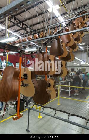 Les corps de guitare sont placés sur un carrousel automatisé le plafond de l'usine pour économiser de l'espace de stockage pendant les ponts nouvellement collés sèchent Banque D'Images