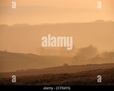 Paysage de Cumbrian avec des collines en retrait dans la lumière brumeuse de l'aube ponctuée par des arbres dans la récession brumeuse dans la vallée d'Eden, Angleterre Royaume-Uni Banque D'Images