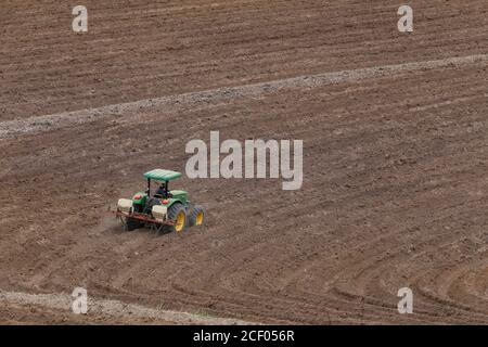 Braganca Paulista, Brésil - 17 septembre 2014 - labourage de tracteurs dans les terres agricoles rurales de la campagne brésilienne Banque D'Images