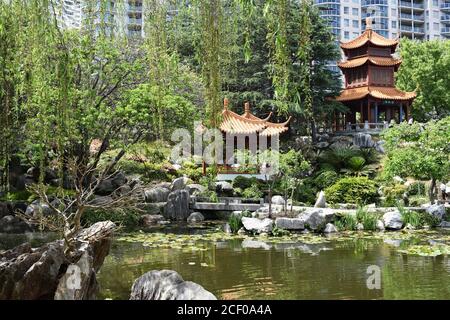 Le jardin chinois de l'amitié à Darling Harbour, Sydney. Un lac paysagé vert et le feuillage. Les bâtiments du CBD sont vus derrière les arbres. Banque D'Images