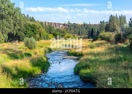 Un ruisseau peu profond serpente à travers une campagne rurale près de la ville d'Elberton, Washington, près de la Palouse. Banque D'Images