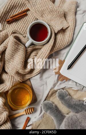 Pattes grises de chat, chandail chaud tricoté, tasse de thé, bâtons de cannelle, carnet avec draps propres et feuille d'automne. Image d'automne confortable Banque D'Images