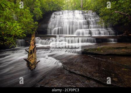 Chutes de Grogan Creek (ou chutes sur Grogan Creek) - sentier Butter Gap, forêt nationale de Pisgah, près de Brevard, Caroline du Nord, États-Unis Banque D'Images