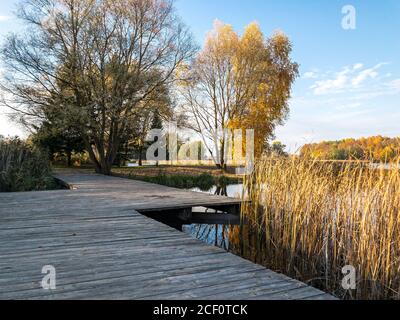 passerelle en bois sur le lac dans le parc. magnifique paysage d'automne Banque D'Images