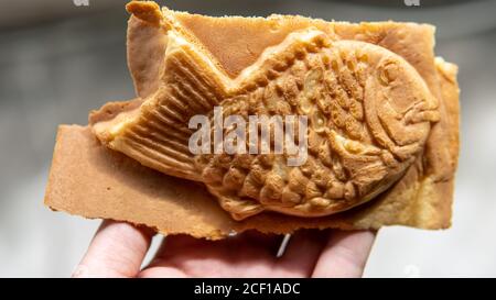 Taiyaki est une pâtisserie japonaise. Gaufre battue comme le poisson sucré snack traite généralement rempli de pâte de haricots, de crème anglaise, ou de potat sucré Banque D'Images