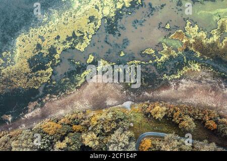 Photo aérienne de la fleur d'algues sur un lac Banque D'Images