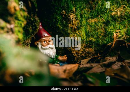 Petit gnome coloré dans le jardin Banque D'Images