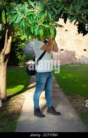 Un touriste, caché par le feuillage d'un arbre, photographie les murs du château. Les touristes et les résidents profitent de cette belle journée Banque D'Images