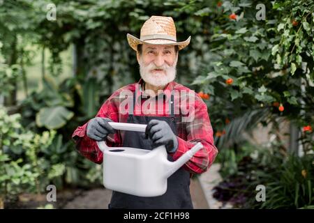 Jardinage et serre concept. Beau gris joyeux poil homme barbu senior dans chapeau de paille, chemise rouge et tablier, posant avec de l'eau grise peut pour Banque D'Images