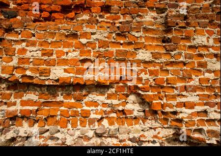 Ruines du château de Szubin (Pologne) Banque D'Images