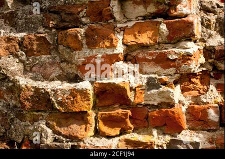 Ruines du château de Szubin (Pologne) Banque D'Images