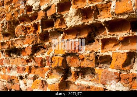 Ruines du château de Szubin (Pologne) Banque D'Images