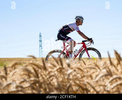 Saint-Quentin-Fallavier, France - 16 juillet 2016 : le cycliste belge Jasper Stuyven de l'équipe Trek-Segafredo monte dans une plaine de blé pendant la scène Banque D'Images