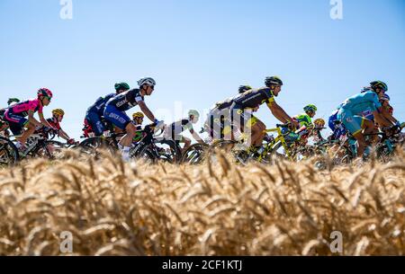 Saint-Quentin-Fallavier,France - Juillet 16, 2016 : le peloton équitation dans une plaine de blé au cours de l'étape 14 du Tour de France 2016. Banque D'Images