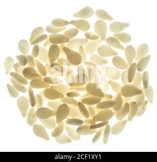 Cesame isolé sur fond blanc Banque D'Images
