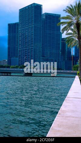 Vue sur les bâtiments de Brickell Miami à côté du pont Brickell Key Drive, les bâtiments à proximité de palmiers et de pont à Brickell, palmiers, pont, an Banque D'Images