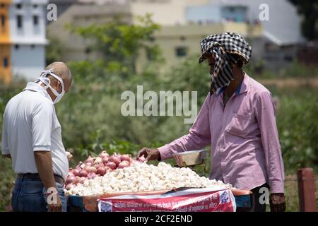 Dehradun, Uttarakhand/Inde- août 01 2020: Coronavirus pandémique en Inde, hommes vendant des légumes, personnes collectant des choses nécessiteuses, portant des masques. Banque D'Images