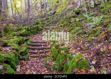 Sentier avec des rochers recouverts de mousse et un escalier Banque D'Images