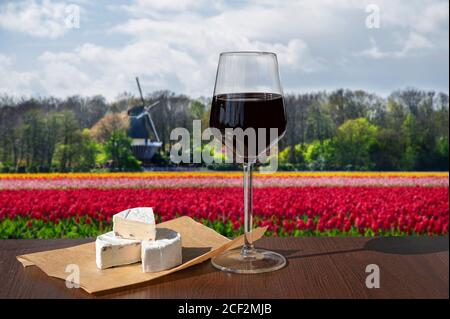 Verre de vin rouge au brie contre le champ de tulipes et le moulin à vent aux pays-Bas. Banque D'Images