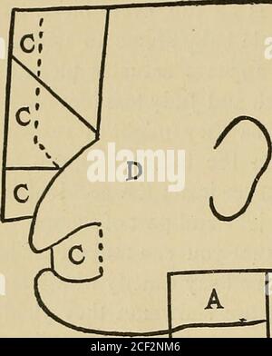 . Ce qui vaut la peine de faire et comment les faire. ly matériel nécessaire pour le Stagewill être un morceau de tissu Uni-couleur, qui doit être replacée sur une porte ouverte, être mis à la verticale de chaque côté et ex-tend vers le sol, où il doit être de nouveau attaché thatil peut ne pas y avoir de danger de son souffle de côté. Placez ce rideau assez haut dans la porte pour atteindre un trifle au-dessus de votre tête, vous devez être complètement caché du public. L'illustration pleine page montre le dos de la scène et donne à l'homme-ner dans lequel Punch et sa famille sont faits pour se déplacer dans 45 46 Parties, spectacles, et Enterta Banque D'Images