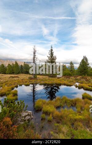 Le ciel et les arbres se réfléchit dans un petit lac à tourbières surélevées sur la montagne Moserkopf, Faningberg im Lungau. Ambiance d'automne, le ciel est nuageux. Banque D'Images