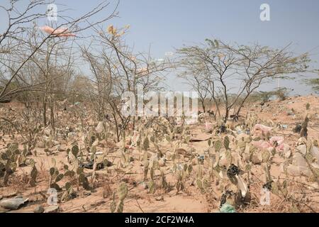 Déchets et sacs en plastique piégés dans des buissons épineux à la périphérie d'Uribia, la capitale indigène du pays, département de la Guajira, Banque D'Images