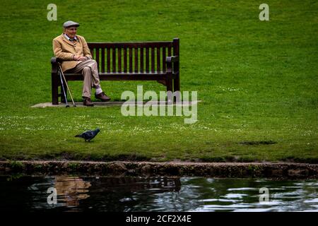 Un homme âgé prend un repos sur un banc par Un étang à Chiswick House and Gardens Banque D'Images