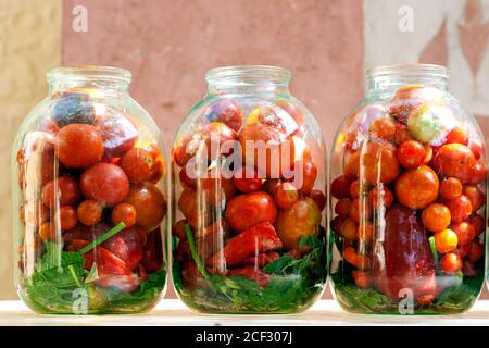 Trois bocaux avec tomates rouges mûres et herbes prêtes à faire du pickle, debout à l'extérieur sur le soleil d'été. Banque D'Images