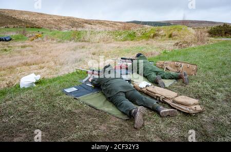 Castlemaine, Irlande - 28 mars 2015 : tir à la cible du fusil au stand de tir de Castlemaine, le tir à la cible a gagné en popularité en Irlande même avec certains Banque D'Images