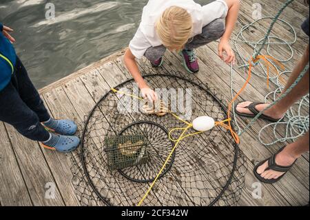Une jeune fille inspecte le crabe dans un piège circulaire sur bois ancrer Banque D'Images
