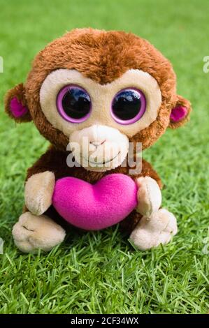 TY Beanie Boo Boos Casanova The Valentine Monkey Hold. Singe doux isolé sur fond vert en format vertical. Banque D'Images