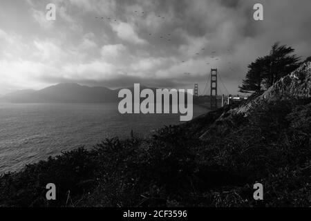 Silhouette d'oiseaux survolant UN pont Banque D'Images