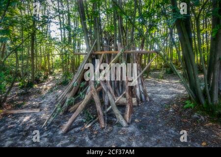 Forêt d'Ashdown, East Sussex, Royaume-Uni Banque D'Images