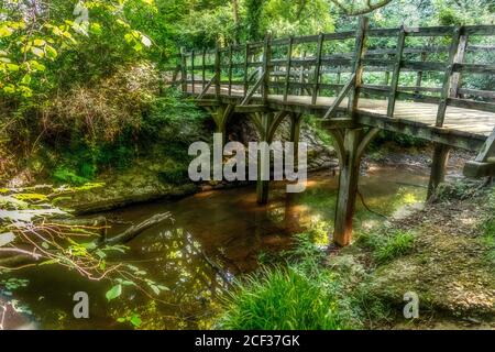 Pont Pooh dans la forêt d'Ashdown, East Sussex, Royaume-Uni Banque D'Images