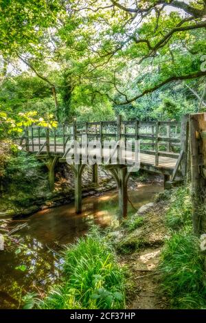 Pont Pooh dans la forêt d'Ashdown, East Sussex, Royaume-Uni Banque D'Images