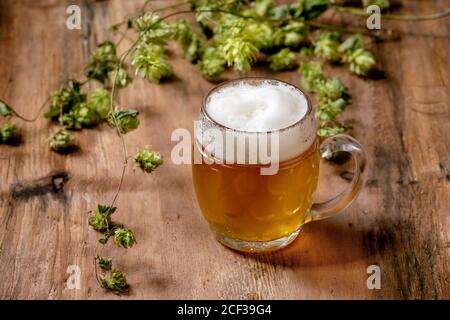 Chope de bière blonde Banque D'Images