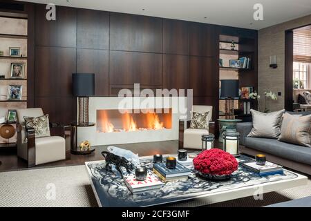 Allume feu in modern living room Banque D'Images