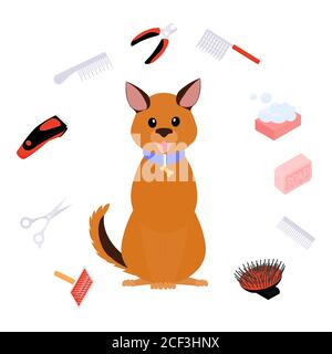 Illustration du toilettage du chien, soin des cheveux pour animaux. Salon de beauté pour animaux concept vectoriel. Icônes d'outils d'équipement de toilettage pour animaux isolées sur blanc Illustration de Vecteur