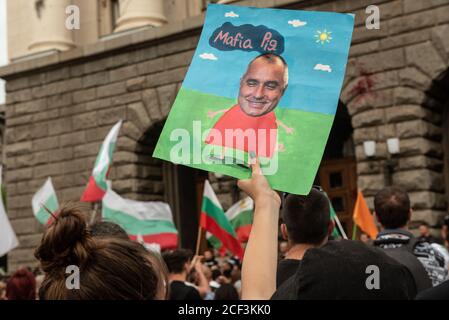 Sofia, Bulgarie. 02 septembre 2020. Écriteau avec le visage du Premier ministre, Boyko Borisov, tenu par un manifestant pendant la manifestation.pour la 56e journée consécutive, les Bulgares ont rassemblé à l'extérieur des bâtiments gouvernementaux accusant le Premier ministre, Boyko Borisov de corruption et de protection des puissants magnats. Des manifestants dans la capitale et dans les villes du pays appellent à la démission du premier ministre et de son gouvernement de centre-droit. Crédit : SOPA Images Limited/Alamy Live News Banque D'Images