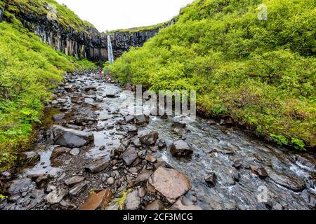 Svartifoss cascade paysage avec rivière large vue à l'angle bas Sentier dans le parc national de Skaftafell en Islande vue de la chute de l'eau hors de la falaise dans su vert Banque D'Images