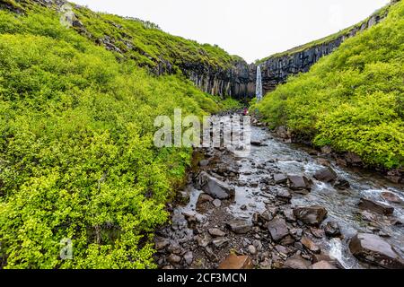 Cascade Svartifoss avec vue sur la rivière grand angle sur la piste Parc national de Skaftafell en Islande vue de l'eau tombant de la falaise en vert paysage d'été Banque D'Images