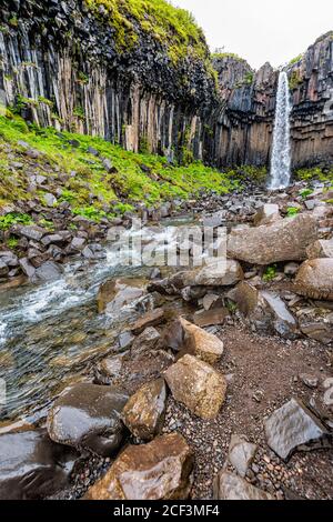 Cascade Svartifoss avec vue verticale grand angle sur la piste Dans le parc national de Skaftafell en Islande, voir l'eau tomber falaise en été vert Banque D'Images