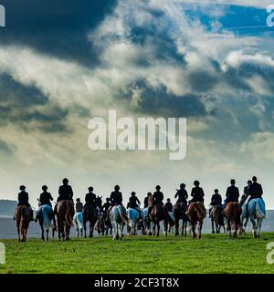 Lincolnshire, Angleterre, Royaume-Uni. Le terrain suivant le Belvoir Hounds sur un matin de novembre houleux et venteux Banque D'Images