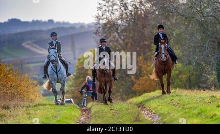 Lincolnshire, Angleterre, Royaume-Uni. Le champ suivant le Belvoir Hounds dans un matin venteux de novembre Banque D'Images